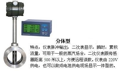 氫氣計量表分體型產品圖